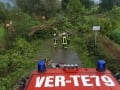 Umgefallener Baum in Hangen-Grinden