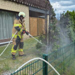 Brandeinsatz: Hecke brennt